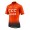 Fahrradbekleidung Radsport 2020 Giant Team CCC Trikot Kurzarm Outl