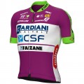 BARDIANI CSF FAIZANE' 2022 Radtrikot kurzarm(langer RV)-ALE Radsport-Profi-Team BARDIANI CSF FAIZANE' 2022 Radtrikot kurzarm(langer RV)-ALE Radsport-Profi-Team