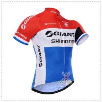 2015 Giant Shimano Radtrikot Kurzarm