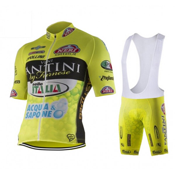 2015 Vini Fantini Fahrradbekleidung Satz Fahrradtrikot Kurzarm Trikot und Kurz Trägerhose