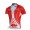 Nalini Pro Team Radtrikot Kurzarm Rot