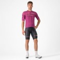 Radtrikot Herren Cyclamen Trikot Giro d'Italia 2024 Classification