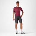 Radtrikot Herren Trofeo Giro d'Italia 2024 Trikot-Bordeaux