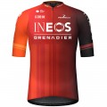 Radtrikot Herren Gobik Ineos Grenadiers 2024 Odyssey trikot