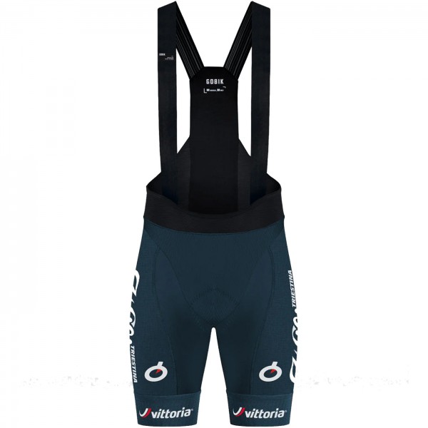 Radtrikot Herren Gobik Wilier Vittoria 2024 Absolute 6.0 K10 tragerhose