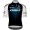 Radtrikot Herren Q36.5 Pro Cycling Team 2025 Gregarius Pro trikot