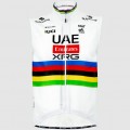 Radtrikot Herren Pissei UAE Team Emirates 2025 weste-Tadej Pogacar