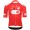 Radtrikot Herren Q36.5 Tour de Suisse 2025 Gregarius Pro trikot-Climber