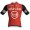 Radtrikot Herren Team Arkea-B&B Hotels 2025 Official Rosti trikot