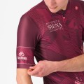 Radtrikot Herren Trikot Siena Giro d'Italia 2025