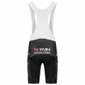 Radtrikot Herren Team Visma Lease a bike 2025 The Swarm tragerhose-Tdf