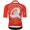 Radtrikot Herren Q36.5 Gregarius Clima Dolomites Extreme trikot-Rot