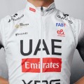 Radtrikot Herren Pissei UAE Team Emirates 2025 weste