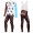 2016 Team Ag2r Fahrradbekleidung Satz Radtrikot Langarm+Lang Trägerhose