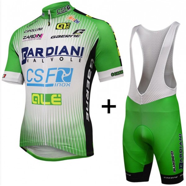 2016 Bardiani Csf Fahrradbekleidung Satz Fahrradtrikot Kurzarm Trikot und Kurz Trägerhose 2016 Bardiani Csf Fahrradbekleidung Satz Fahrradtrikot Kurzarm Trikot und Kurz Trägerhose