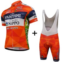 2017 Vini Fantini Nippo Pro Team Fahrradbekleidung Satz Radtrikot Kurzarm+Kurz Trägerhose